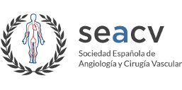Becas de la Fundación SEACV para estancias de MIR en España y el extranjero