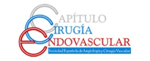 El Capítulo de Cirugía Endovascular premia la mejor publicación científica de 2014