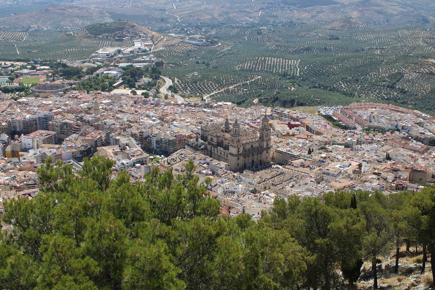 Jaén, sede de nuestra próxima reunión anual en 2020