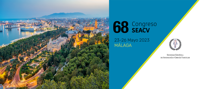 Málaga acogerá a finales de mayo el 68º Congreso Nacional de la SEACV